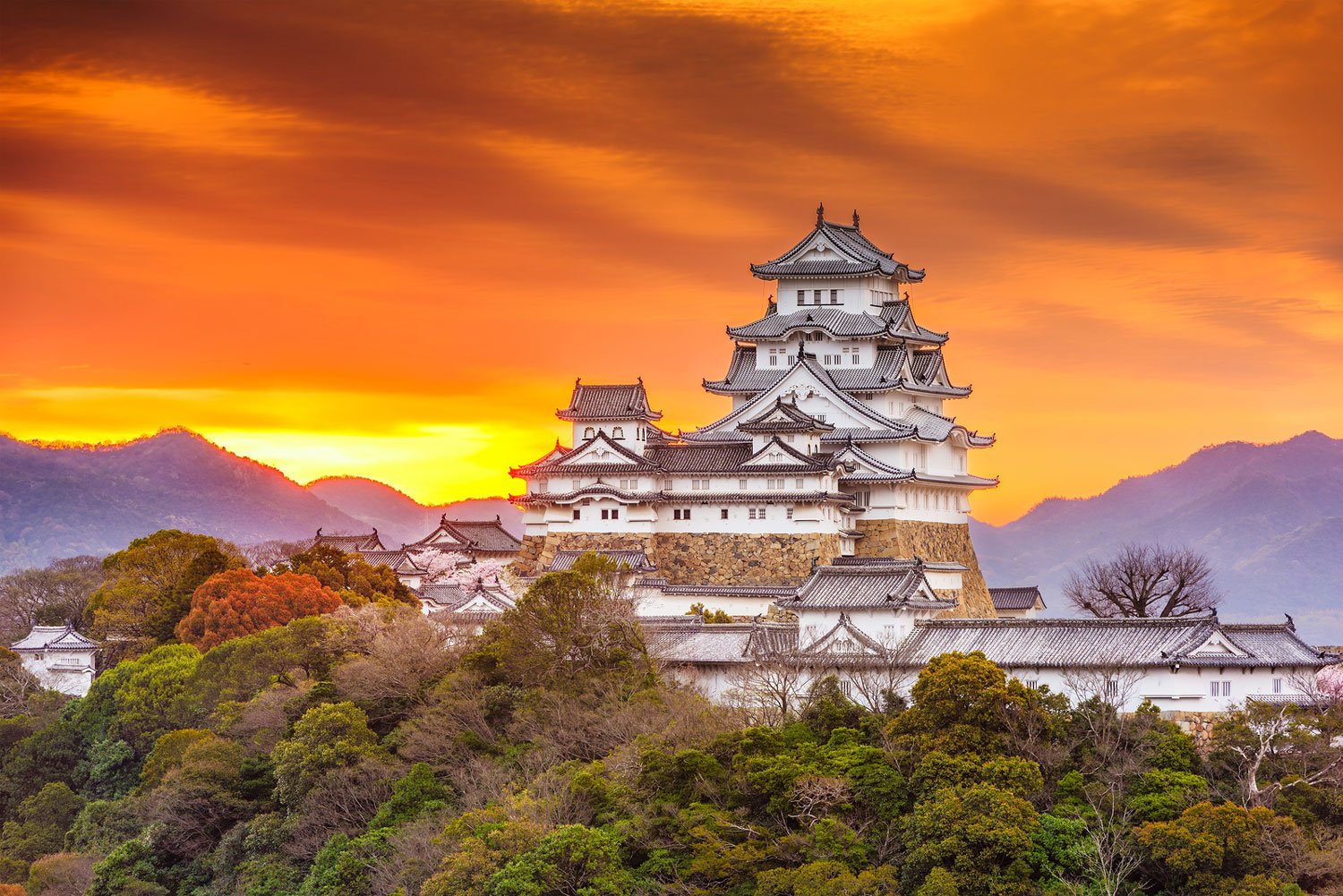 Japanese Cultural Heritage in a Globalized World